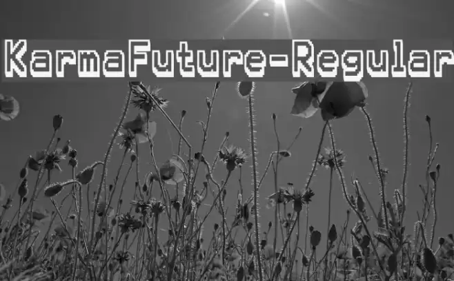 KarmaFuture-Regular Font examples