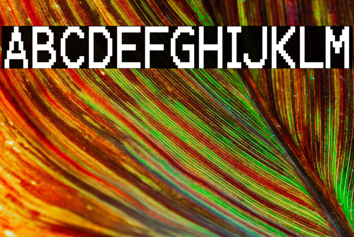 KarmaSuture-Regular Example 2