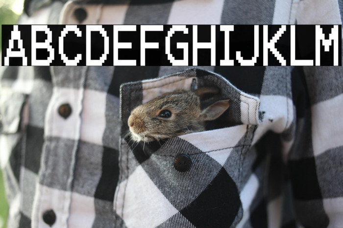 KarmaSuture-Regular Example 3