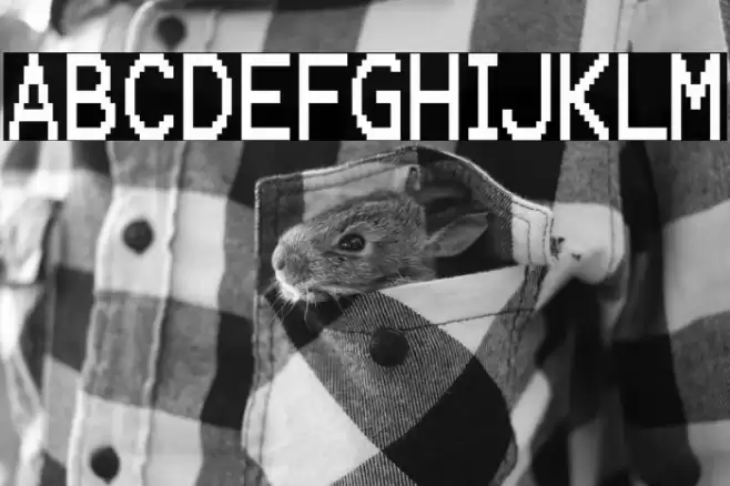 KarmaSuture-Regular Font examples