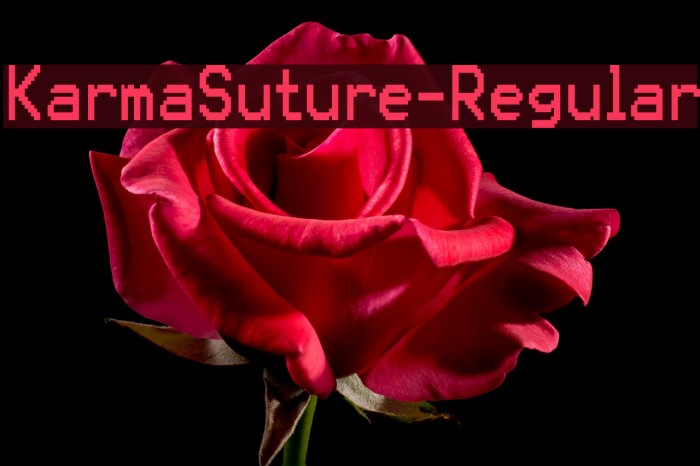 KarmaSuture-Regular Font examples
