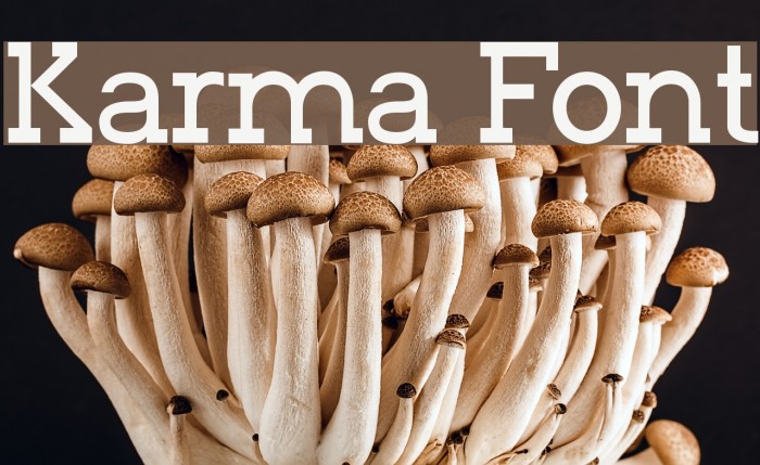 Karma Font examples