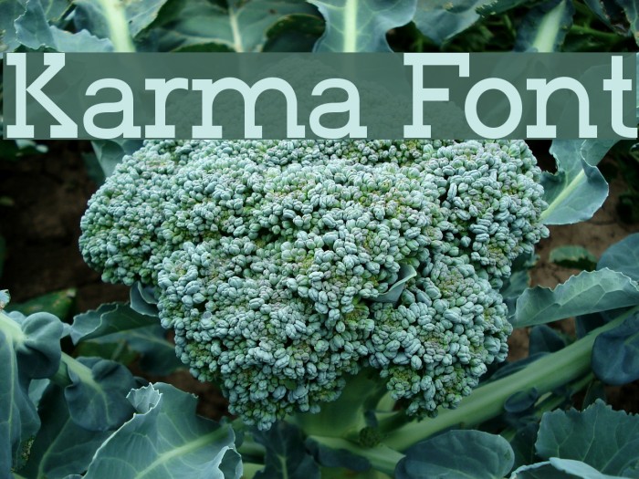 Karma Font examples