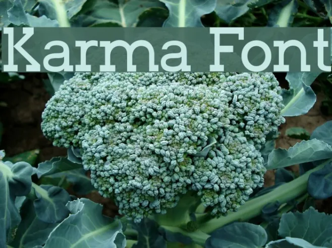 Karma Example 2