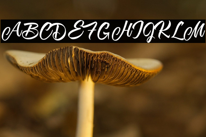 Karmacoma Personal Use  Example 1