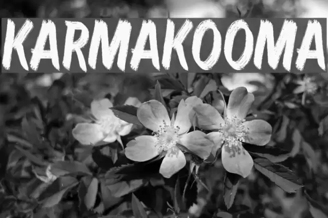 Karmakooma Font examples
