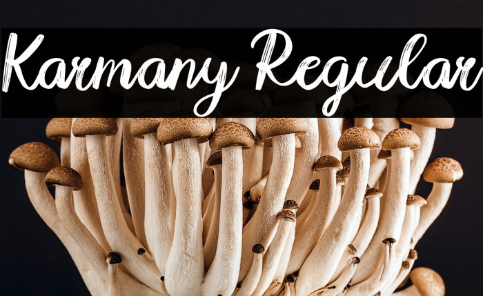 Karmany Regular Example 3