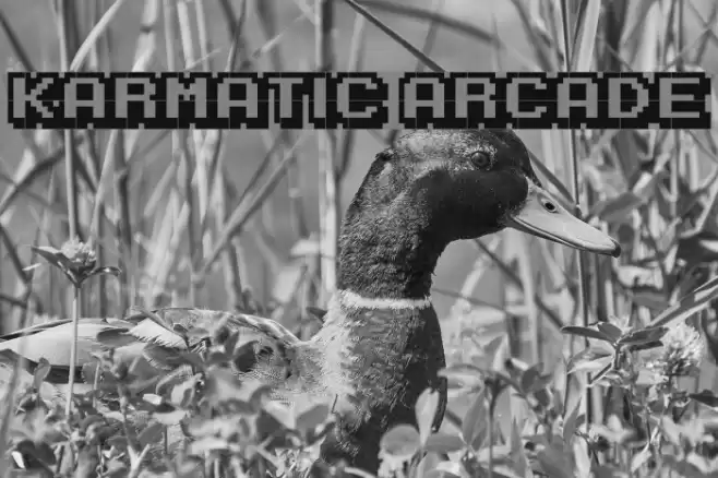 Karmatic Arcade Fuentes examples