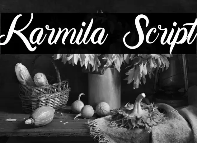 Karmila Script Font examples