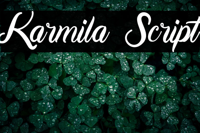 Karmila Script Example 3