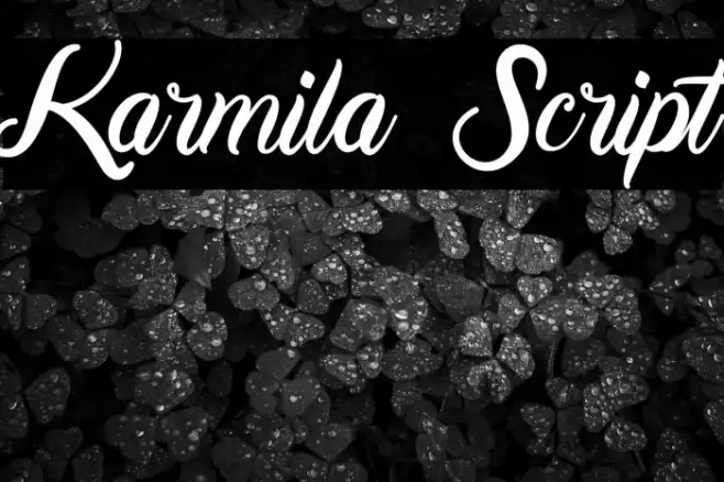 Karmila Script Font examples