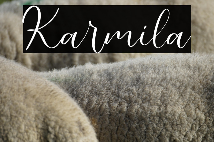Karmila Example 2