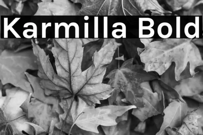Karmilla Bold Font examples