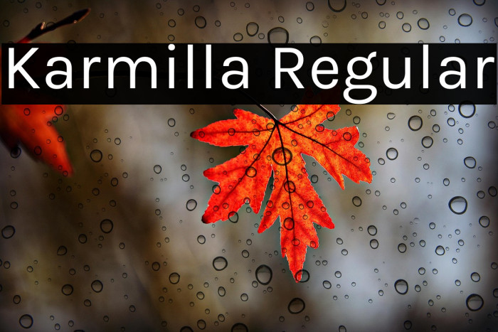 Karmilla Regular Example 2