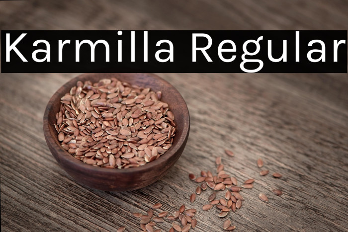 Karmilla Regular Example 3