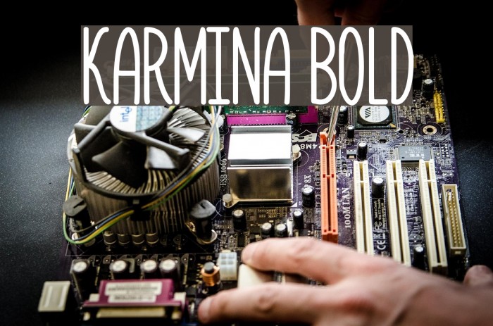Karmina Bold Font examples