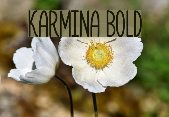 Karmina Bold Font examples