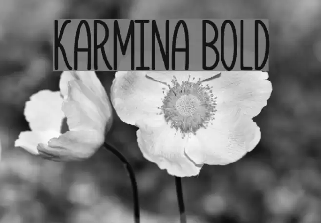 Karmina Bold Font examples