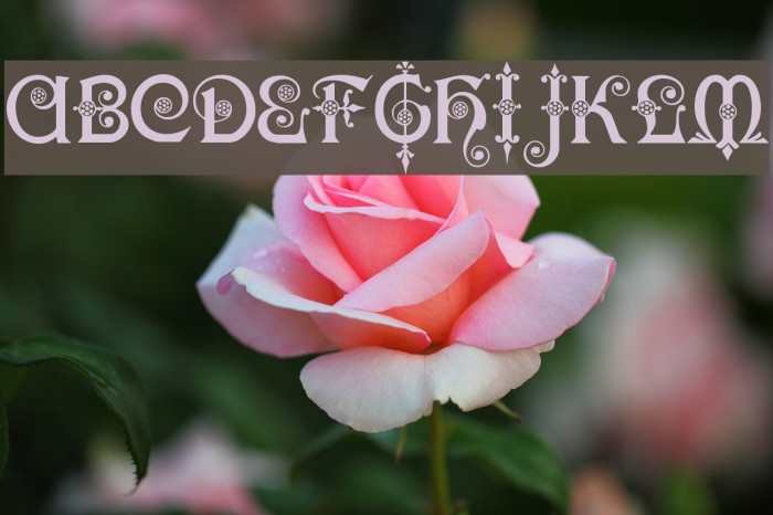 Karnac Font examples