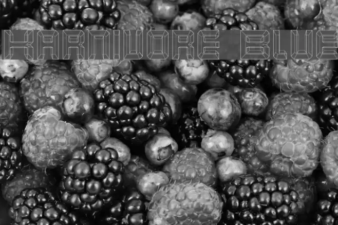 Karnivore Blue Font examples