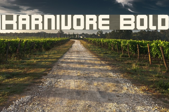 Karnivore Bold Font examples