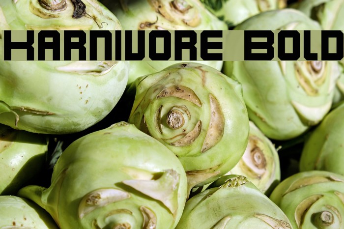 Karnivore Bold Font examples