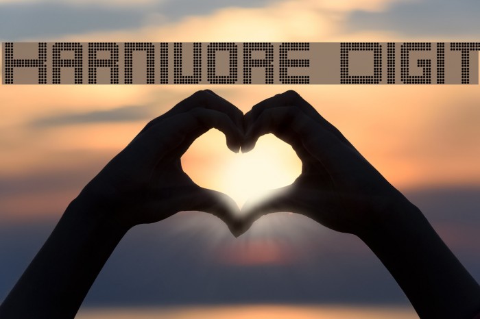 Karnivore Digit Font examples