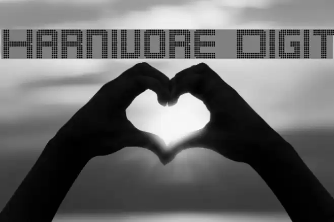 Karnivore Digit Schriftart examples