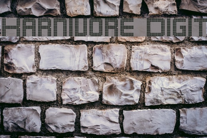 Karnivore Digit Font examples