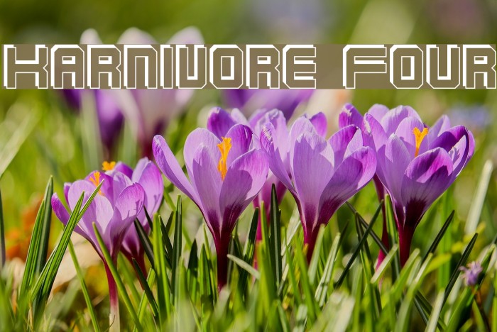Karnivore Four Font examples