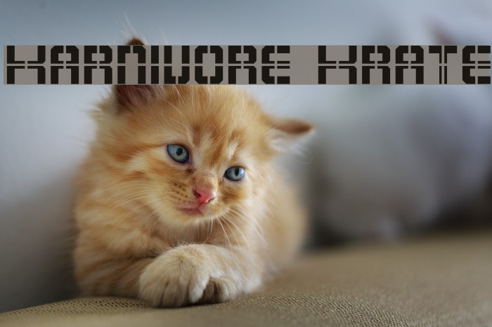 Karnivore Krate Font examples