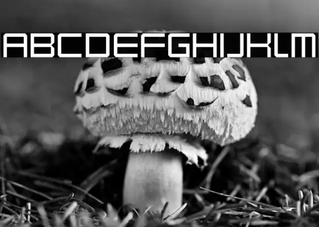 Karnivore Lite Font examples