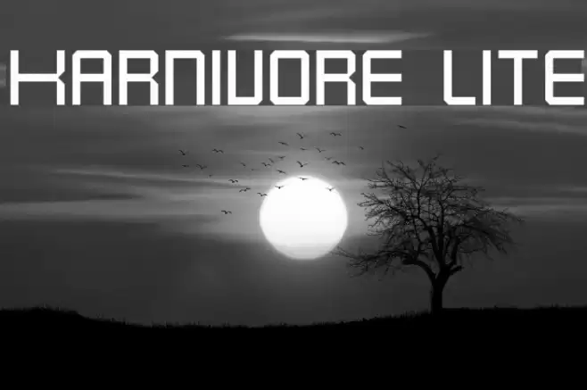 Karnivore Lite Font examples