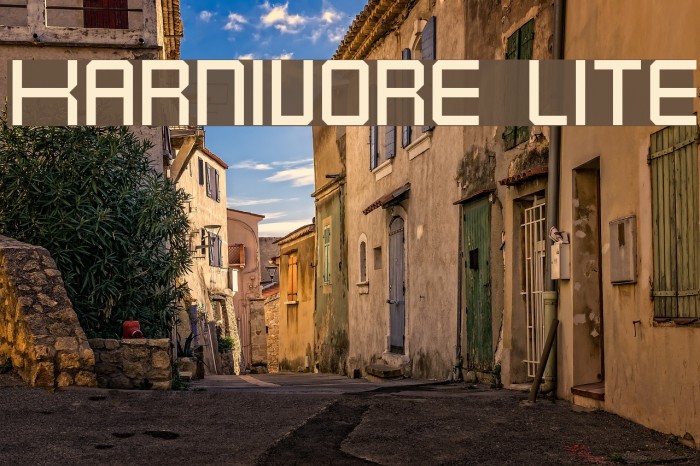 Karnivore Lite Schriftart examples