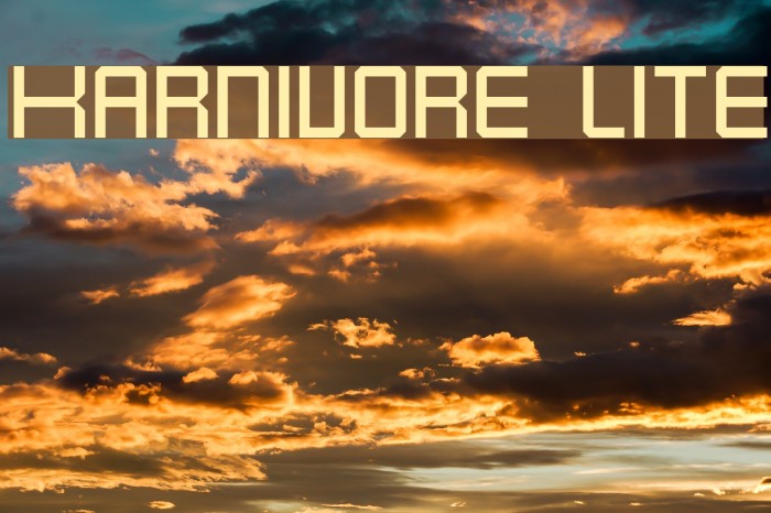 Karnivore Lite Schriftart examples