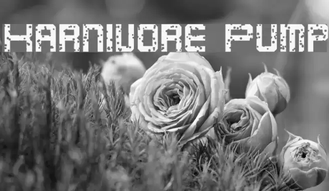 Karnivore Pump フォント examples