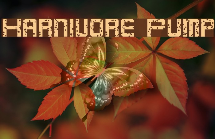 Karnivore Pump Font examples