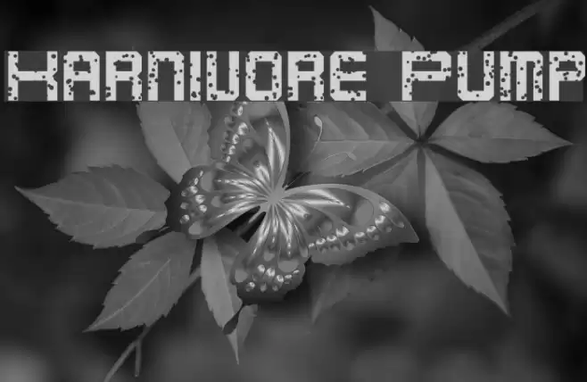Karnivore Pump フォント examples