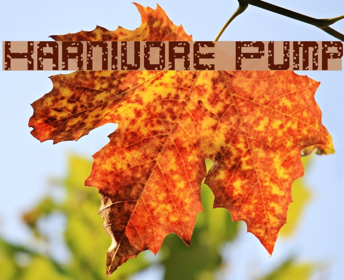 Karnivore Pump Font examples