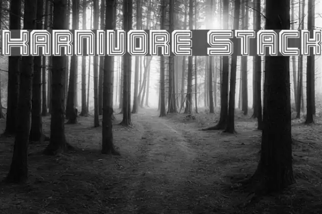 Karnivore Stack Font examples