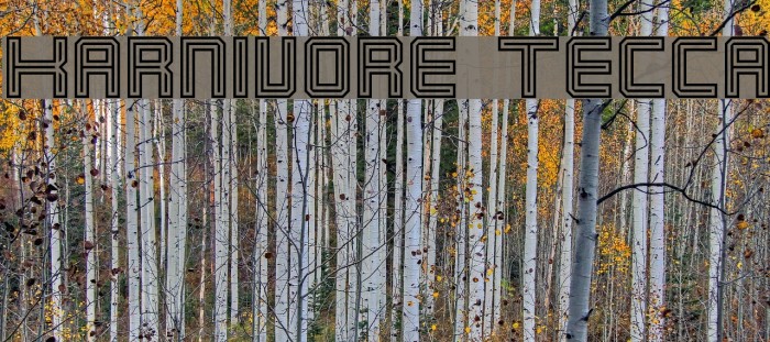 Karnivore Tecca Font examples