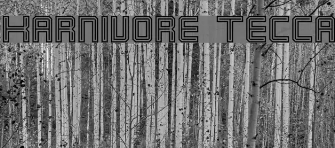 Karnivore Tecca Schriftart examples
