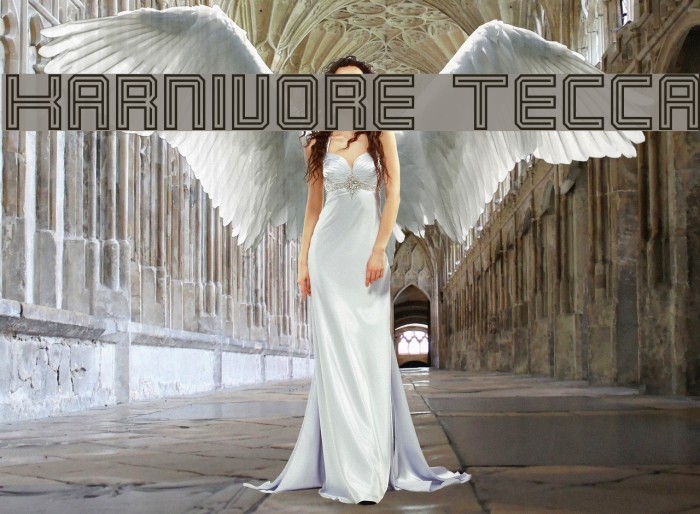 Karnivore Tecca Font examples