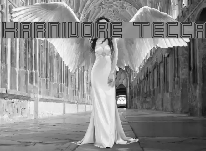 Karnivore Tecca Schriftart examples