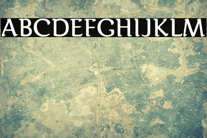 Karolina-DEMO Regular Example 2