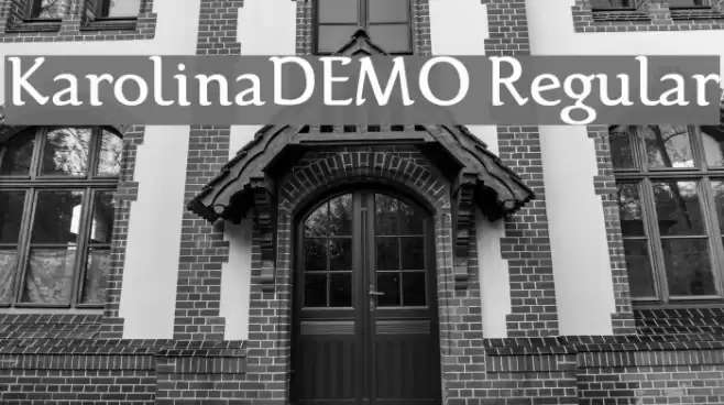 Karolina-DEMO Regular フォント examples