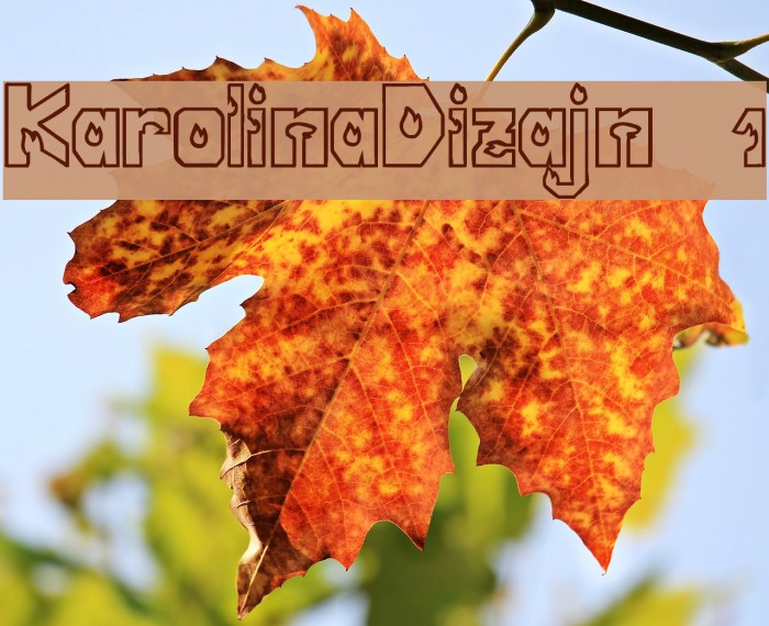 KarolinaDizajn 1 Font examples