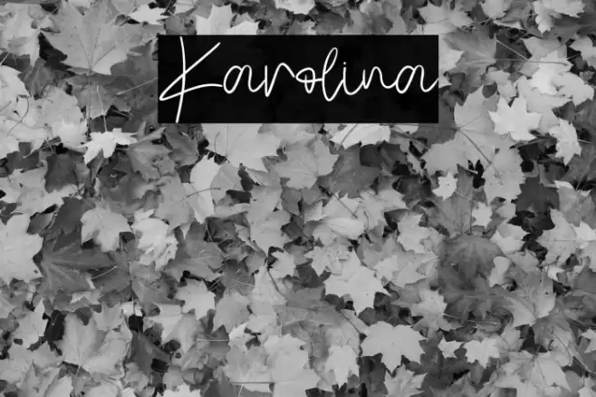 Karolina Font examples
