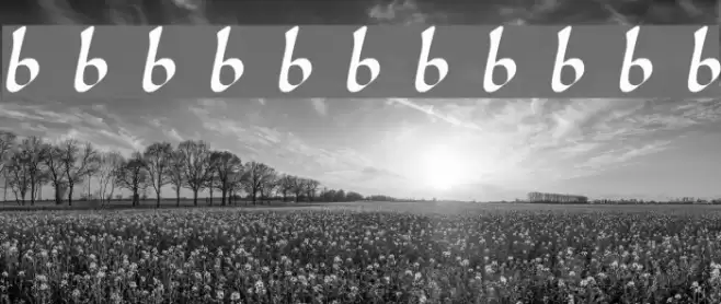 Karolingisch Font examples