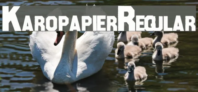 KaropapierRegular Example 3